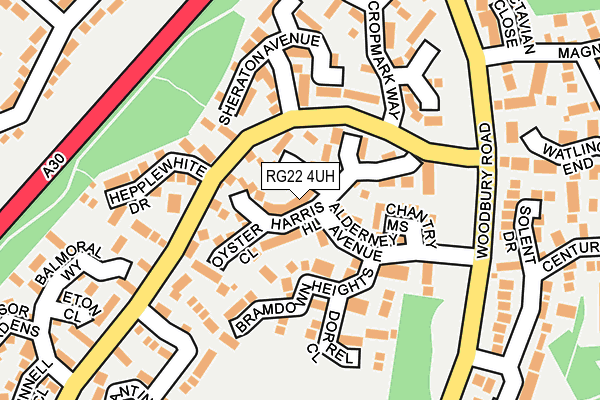 RG22 4UH map - OS OpenMap – Local (Ordnance Survey)