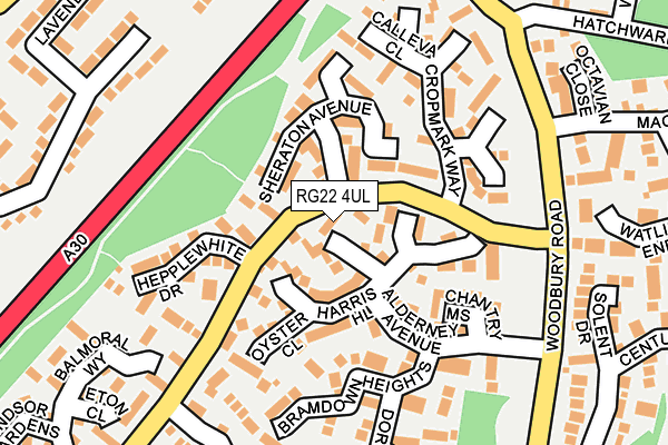 RG22 4UL map - OS OpenMap – Local (Ordnance Survey)