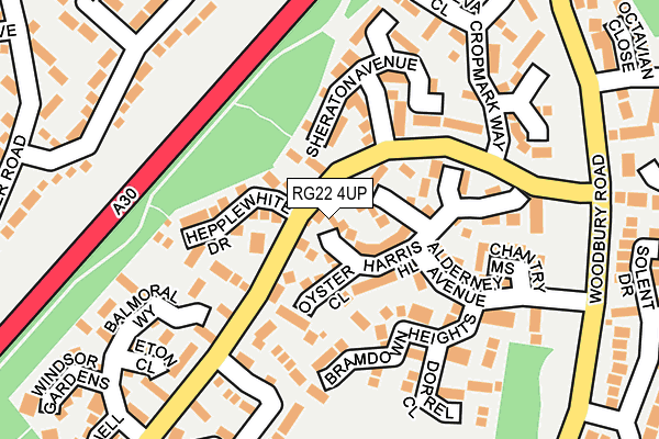 RG22 4UP map - OS OpenMap – Local (Ordnance Survey)