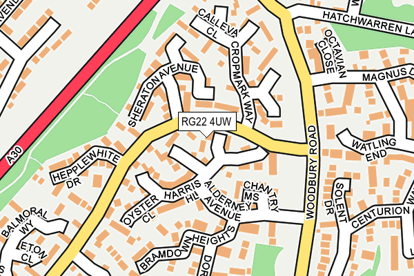 RG22 4UW map - OS OpenMap – Local (Ordnance Survey)