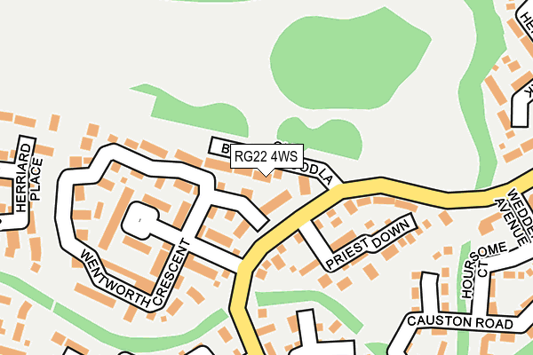 RG22 4WS map - OS OpenMap – Local (Ordnance Survey)