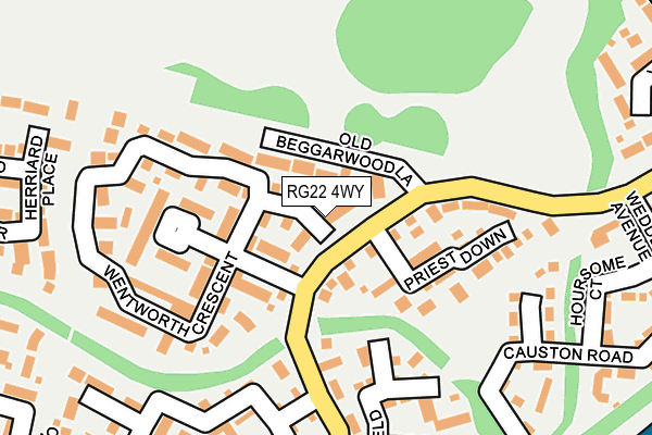 RG22 4WY map - OS OpenMap – Local (Ordnance Survey)