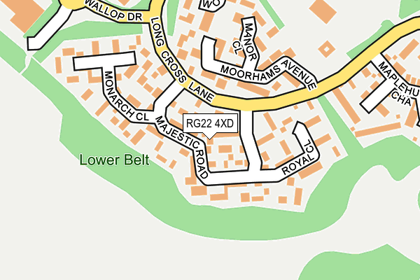 RG22 4XD map - OS OpenMap – Local (Ordnance Survey)