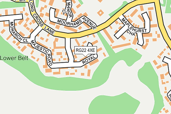 RG22 4XE map - OS OpenMap – Local (Ordnance Survey)