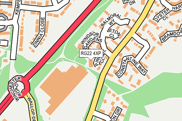 RG22 4XP map - OS OpenMap – Local (Ordnance Survey)