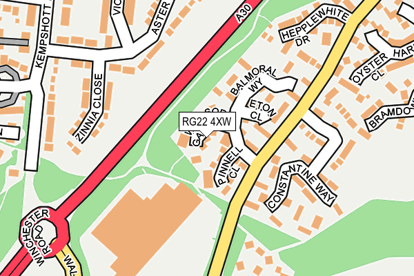 RG22 4XW map - OS OpenMap – Local (Ordnance Survey)