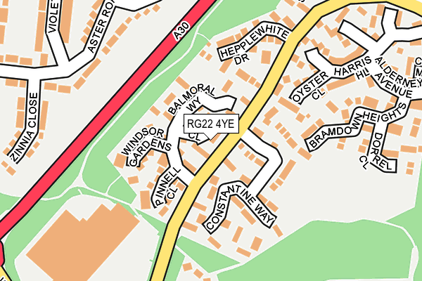 RG22 4YE map - OS OpenMap – Local (Ordnance Survey)