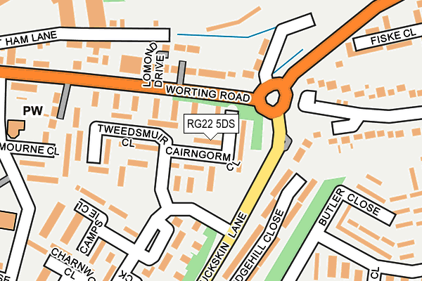 RG22 5DS map - OS OpenMap – Local (Ordnance Survey)