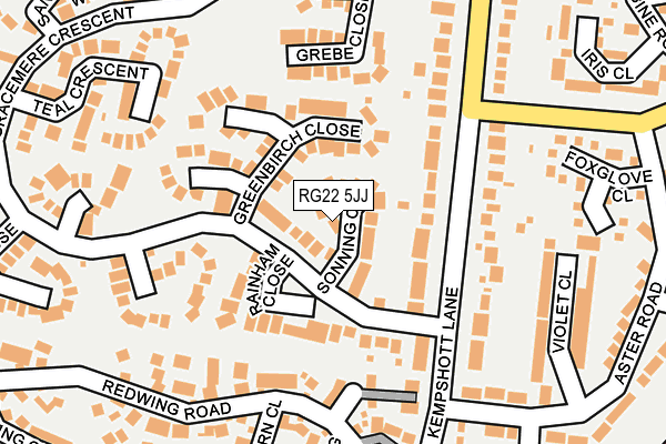 RG22 5JJ map - OS OpenMap – Local (Ordnance Survey)