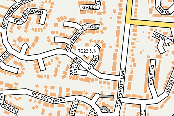 RG22 5JN map - OS OpenMap – Local (Ordnance Survey)