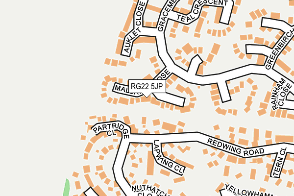 RG22 5JP map - OS OpenMap – Local (Ordnance Survey)