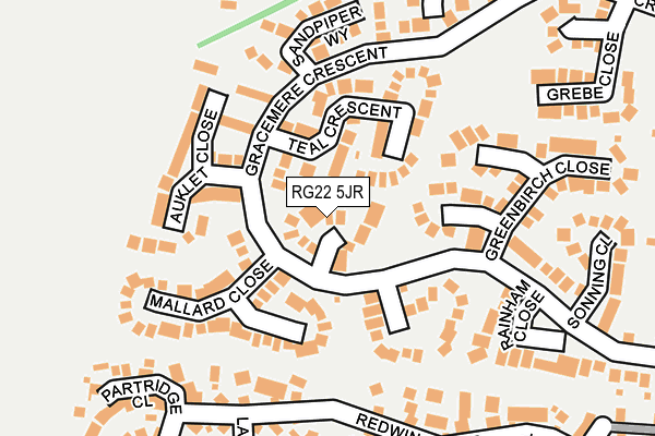 RG22 5JR map - OS OpenMap – Local (Ordnance Survey)