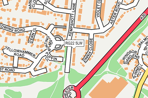 RG22 5LW map - OS OpenMap – Local (Ordnance Survey)
