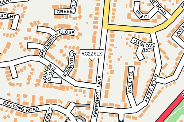 RG22 5LX map - OS OpenMap – Local (Ordnance Survey)