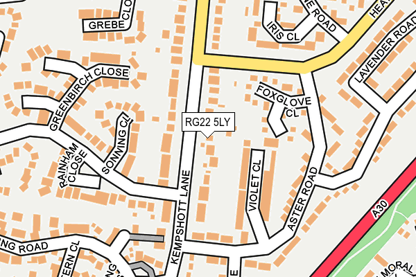 RG22 5LY map - OS OpenMap – Local (Ordnance Survey)