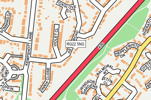 RG22 5NG map - OS OpenMap – Local (Ordnance Survey)