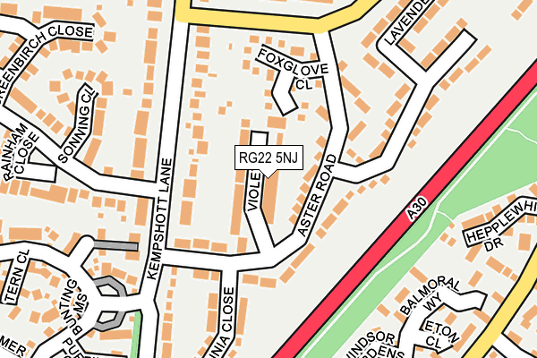 RG22 5NJ map - OS OpenMap – Local (Ordnance Survey)