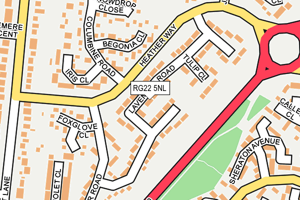 RG22 5NL map - OS OpenMap – Local (Ordnance Survey)