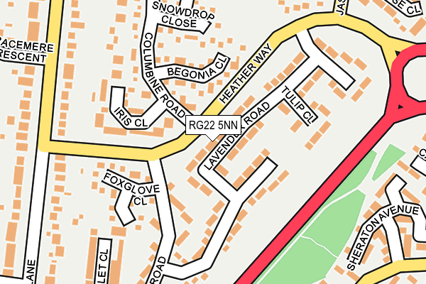 RG22 5NN map - OS OpenMap – Local (Ordnance Survey)