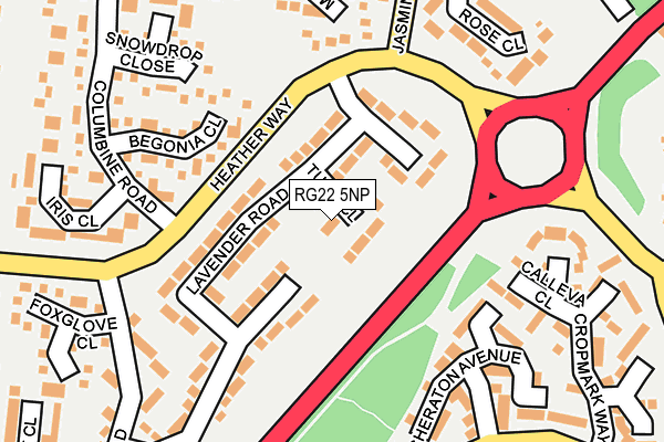 RG22 5NP map - OS OpenMap – Local (Ordnance Survey)