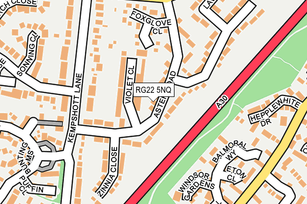 RG22 5NQ map - OS OpenMap – Local (Ordnance Survey)