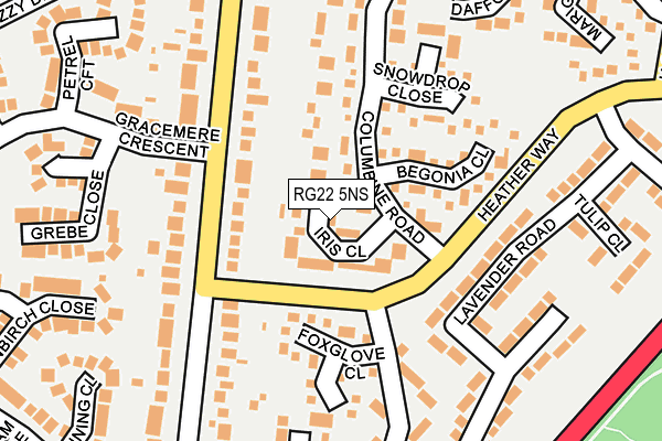 RG22 5NS map - OS OpenMap – Local (Ordnance Survey)