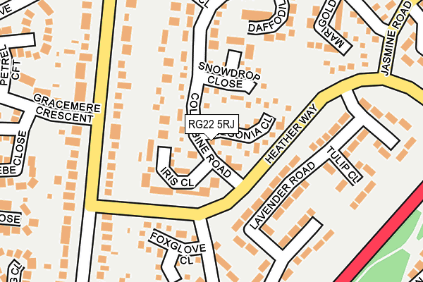 RG22 5RJ map - OS OpenMap – Local (Ordnance Survey)