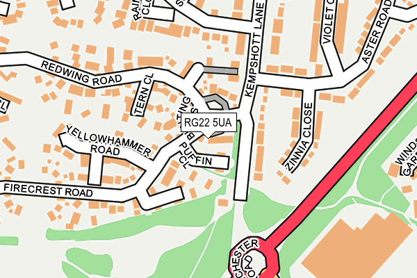 RG22 5UA map - OS OpenMap – Local (Ordnance Survey)