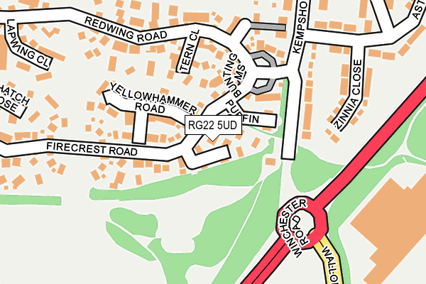 RG22 5UD map - OS OpenMap – Local (Ordnance Survey)