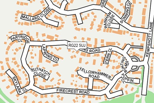 RG22 5UJ map - OS OpenMap – Local (Ordnance Survey)