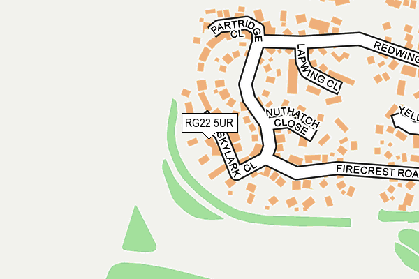 RG22 5UR map - OS OpenMap – Local (Ordnance Survey)