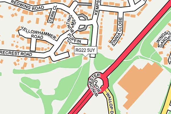RG22 5UY map - OS OpenMap – Local (Ordnance Survey)