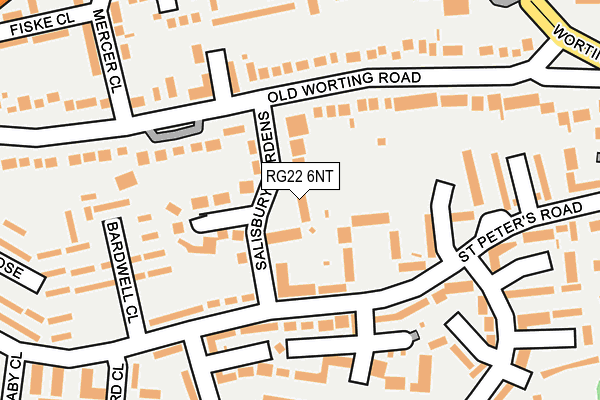 RG22 6NT map - OS OpenMap – Local (Ordnance Survey)