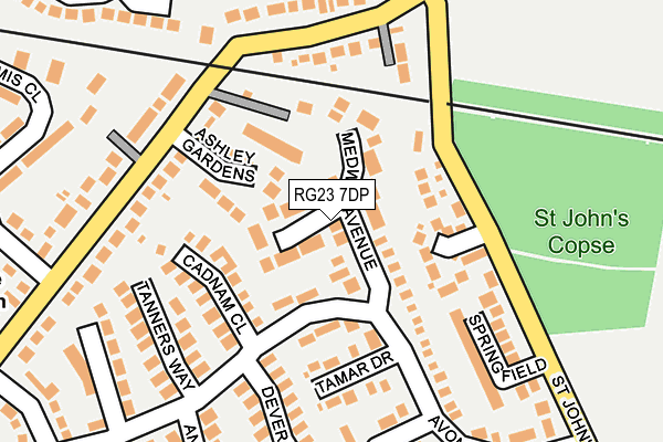 RG23 7DP map - OS OpenMap – Local (Ordnance Survey)