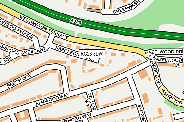 RG23 8DW map - OS OpenMap – Local (Ordnance Survey)