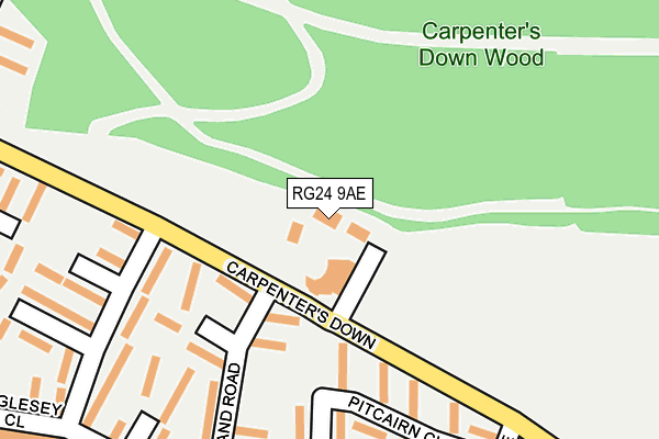 RG24 9AE map - OS OpenMap – Local (Ordnance Survey)