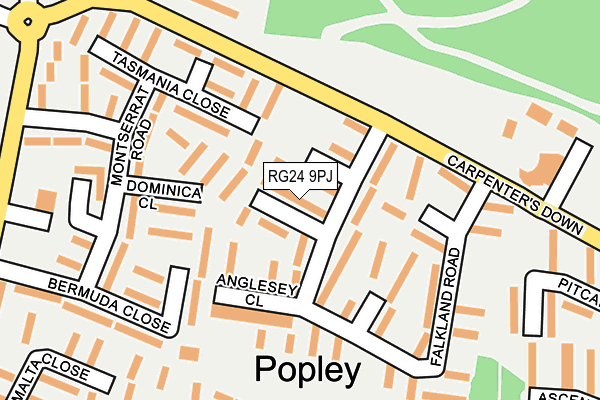 RG24 9PJ map - OS OpenMap – Local (Ordnance Survey)