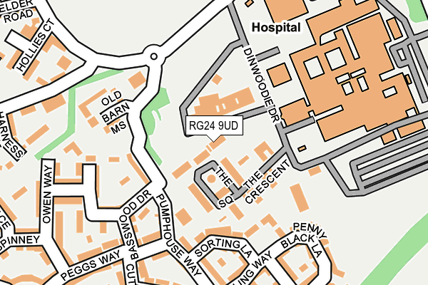 RG24 9UD map - OS OpenMap – Local (Ordnance Survey)