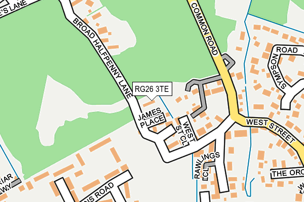 RG26 3TE map - OS OpenMap – Local (Ordnance Survey)