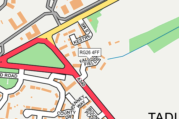 RG26 4FF map - OS OpenMap – Local (Ordnance Survey)