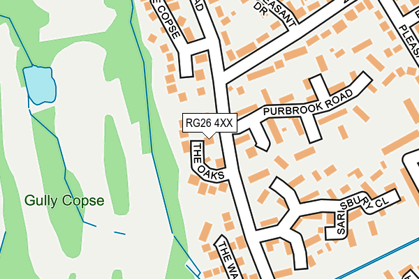 RG26 4XX map - OS OpenMap – Local (Ordnance Survey)