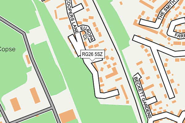RG26 5SZ map - OS OpenMap – Local (Ordnance Survey)