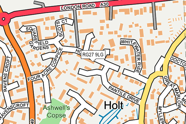 RG27 9LG map - OS OpenMap – Local (Ordnance Survey)