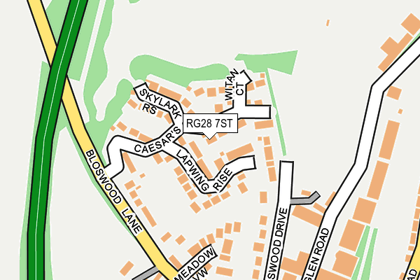 RG28 7ST map - OS OpenMap – Local (Ordnance Survey)