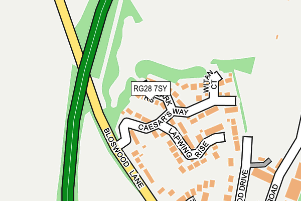 RG28 7SY map - OS OpenMap – Local (Ordnance Survey)