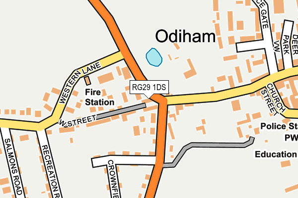 RG29 1DS map - OS OpenMap – Local (Ordnance Survey)