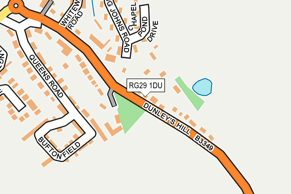 RG29 1DU map - OS OpenMap – Local (Ordnance Survey)