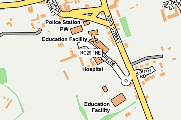 RG29 1NE map - OS OpenMap – Local (Ordnance Survey)