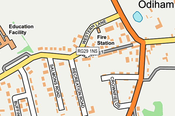 RG29 1NS map - OS OpenMap – Local (Ordnance Survey)