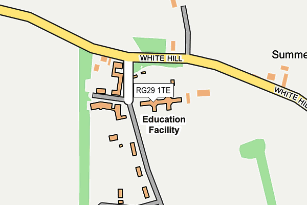 RG29 1TE map - OS OpenMap – Local (Ordnance Survey)